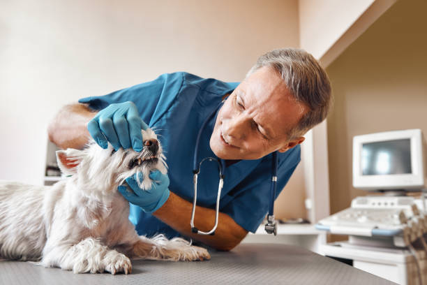 Best Emergency Broken Tooth Repair in Pawtucket, RI